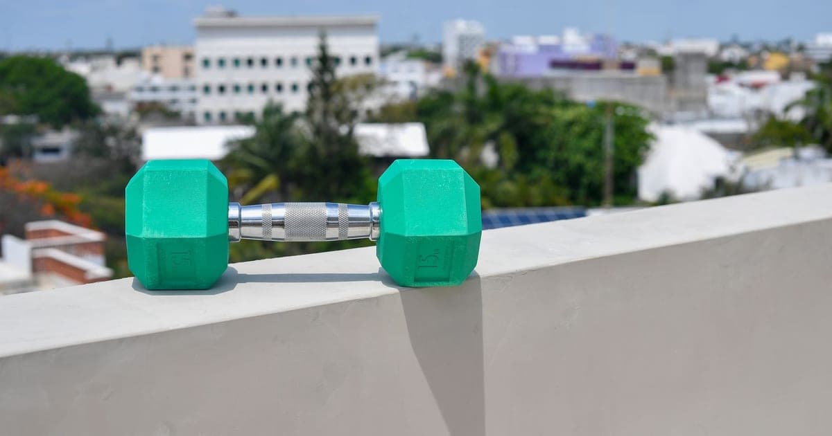 A single light hexagonal dumbbell resting on a rooftop ledge, the weight ceiling that turns progressive overload in a hotel gym into a different problem