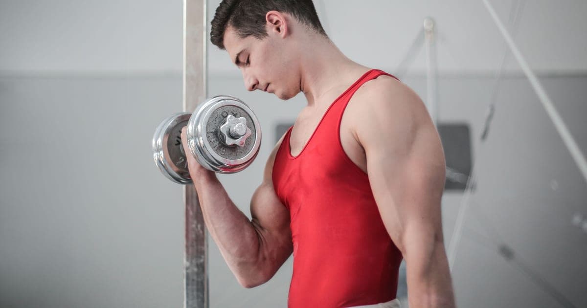 Arm in the lengthened position of a dumbbell curl showing the stretched portion of the range of motion